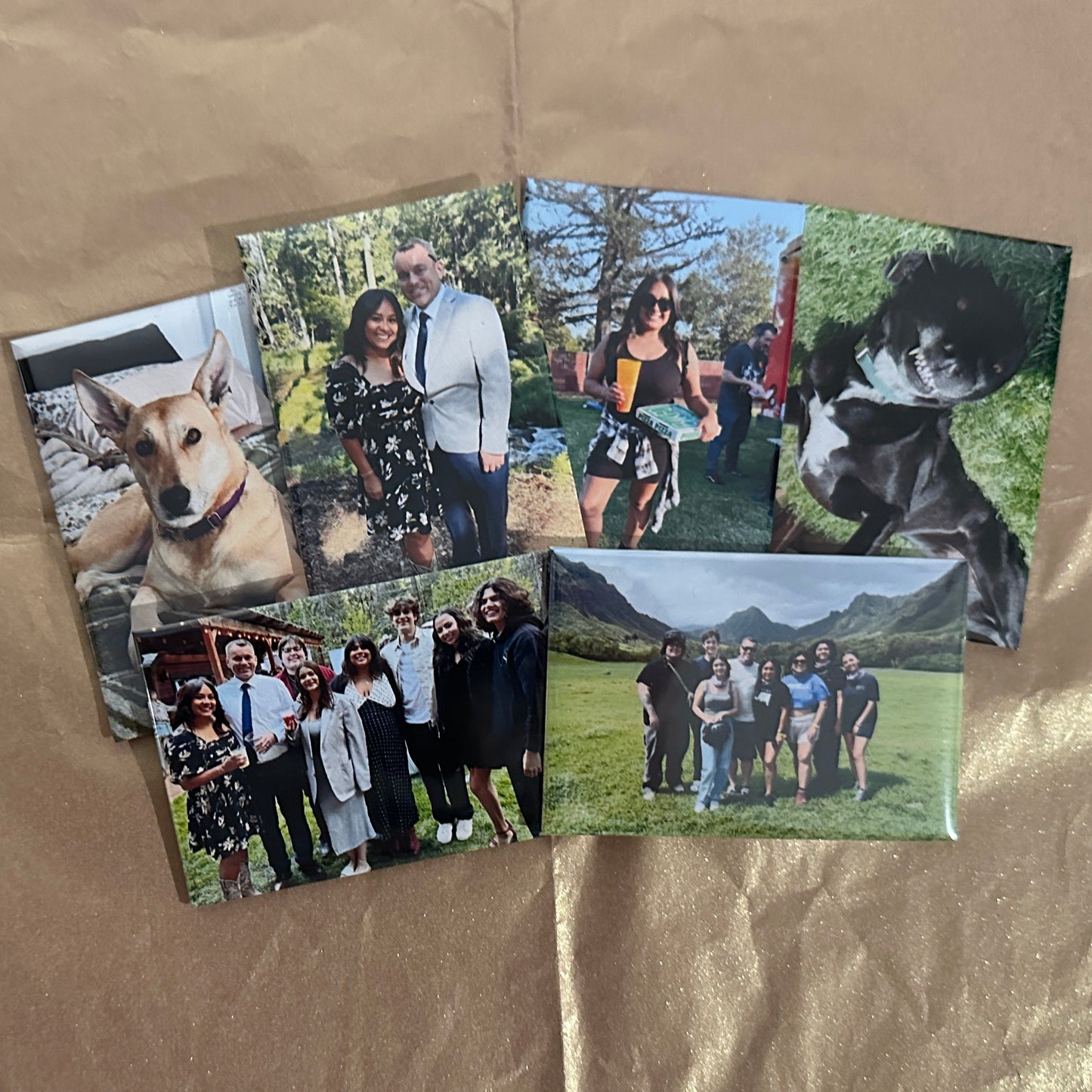 2"x3" Magnets 9 Pack